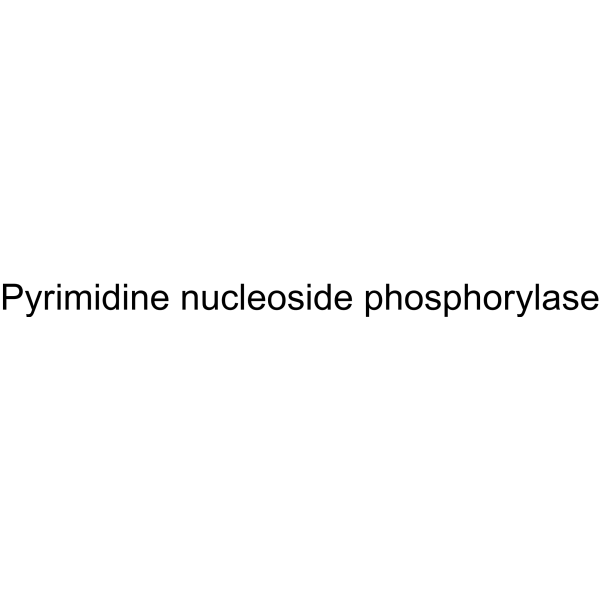 Pyrimidine nucleoside phosphorylase 9055-35-0